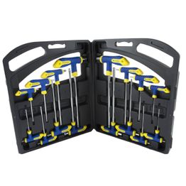 Kuusio- ja torxavainsarja Procat 2-10 mm/T10-T50 16 osaa