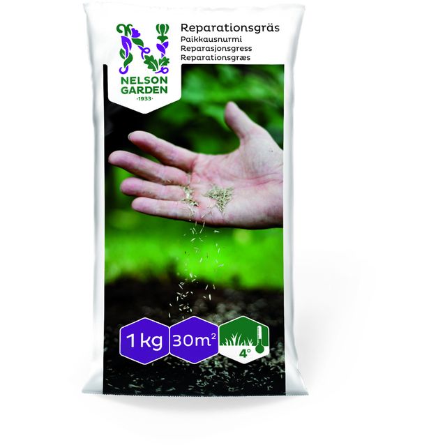 Paikkausnurmi Nelson Garden, siemenet, 1kg