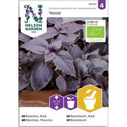 Maustebasilika Nelson Garden Rosie Organic, siemenet