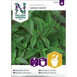 Sitruunabasilika Nelson Garden Lemon scent, siemenet