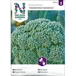 Parsakaali Nelson Garden Calabrese Natalino, siemenet