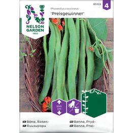 Ruusupapu Nelson Garden Preisgewinner, siemenet