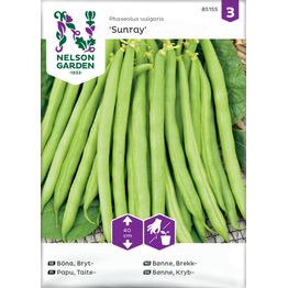 Taitepapu Nelson Garden Sunray, siemenet