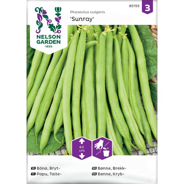 Taitepapu siemen Nelson Garden Sunray