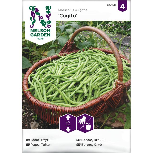 Taitepapu siemen Nelson Garden Cogito