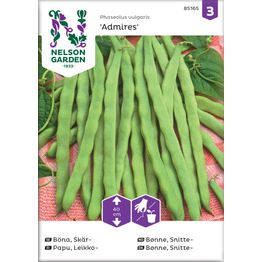 Leikkopapu Nelson Garden Admires, siemenet