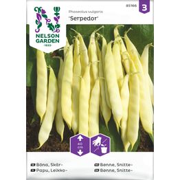 Leikkopapu Nelson Garden Serpedor, siemenet