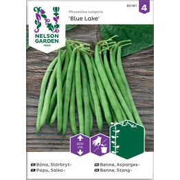 Salkopapu Nelson Garden Blue Lake, siemenet