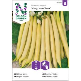 Vahapapu Nelson Garden Kinghorn Wax, siemenet