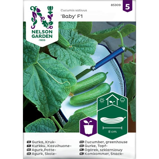 Kasvihuonekurkku siemen Nelson Garden Baby F1