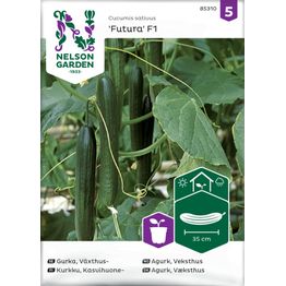 Kasvihuonekurkku Nelson Garden Futura F1, siemenet