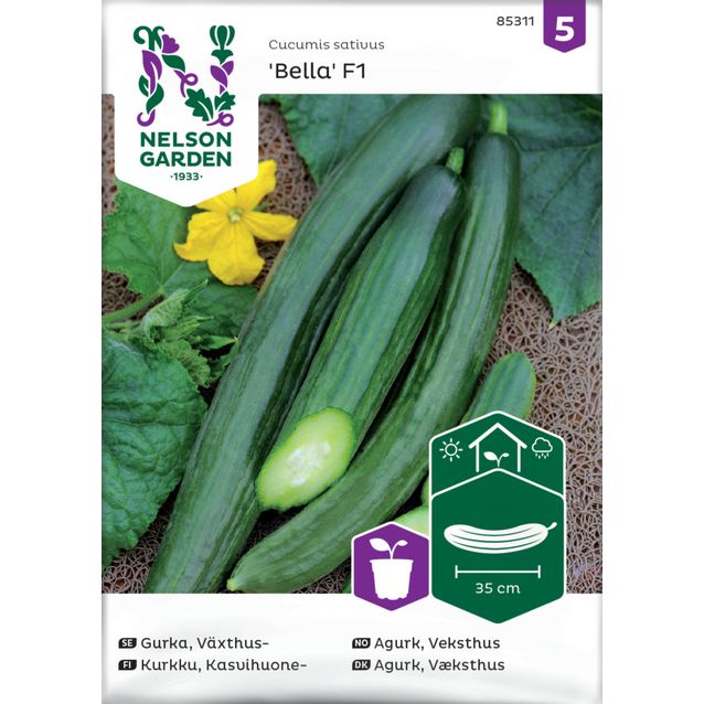 Kasvihuonekurkku siemen Nelson Garden Bella F1