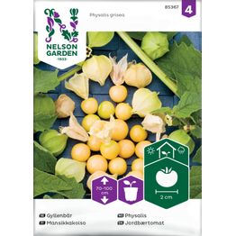 Mansikkakoiso Nelson Garden, siemenet