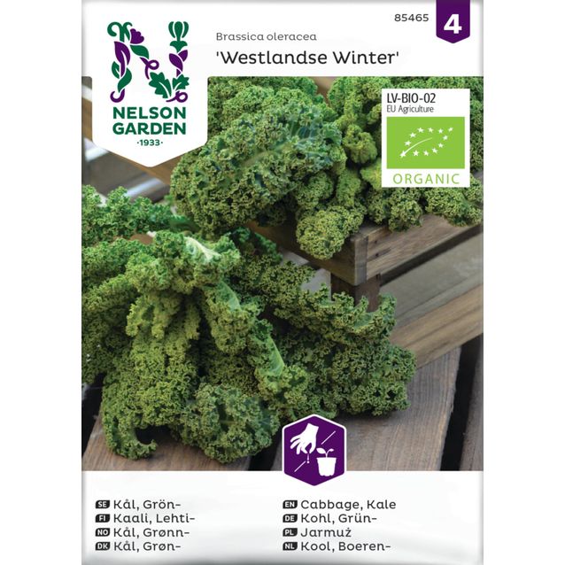 Lehtikaali siemen Nelson Garden Westlandse Winter Organic