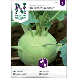 Kyssäkaali Nelson Garden Delikatess Weisser, siemenet
