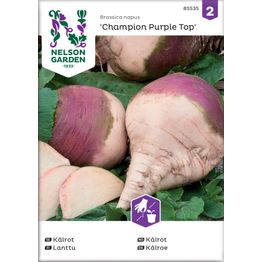 Lanttu Nelson Garden Champion Purple Top, siemenet