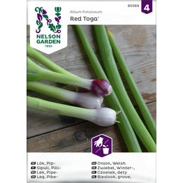 Pillisipuli Nelson Garden Red Toga, siemenet