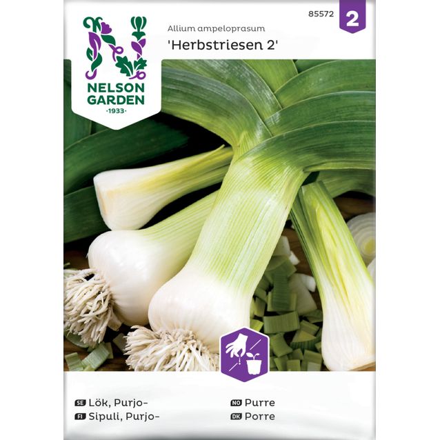 Purjosipuli siemen Nelson Garden Purjo Herbstriesen 2, syksy