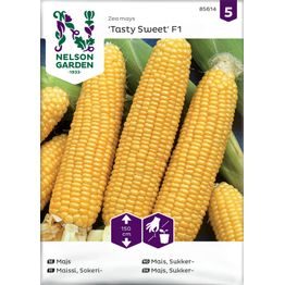 Sokerimaissi Nelson Garden Tasty Sweet F2, siemenet