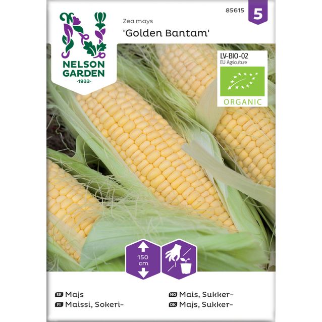 Sokerimaissi siemen Nelson Garden Golden Bantam Organic