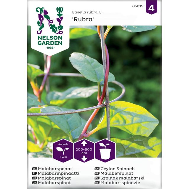 Malabarinpinaatti siemen Nelson Garden