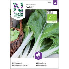 Lehtimangoldi Nelson Garden Whity Organic, siemenet