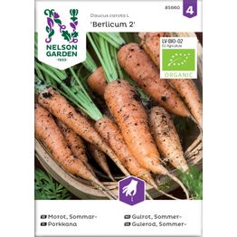 Porkkana Nelson Garden Berlicum 2 Organic, siemenet