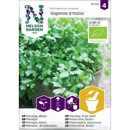 Persilja Nelson Garden Giga d'Italia Organic, sileälehtinen, siemenet