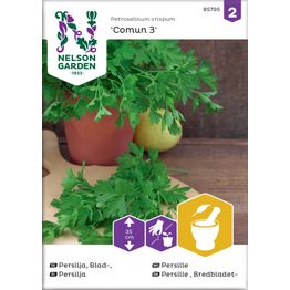 Persilja Nelson Garden Comun 3, sileälehtinen, siemenet