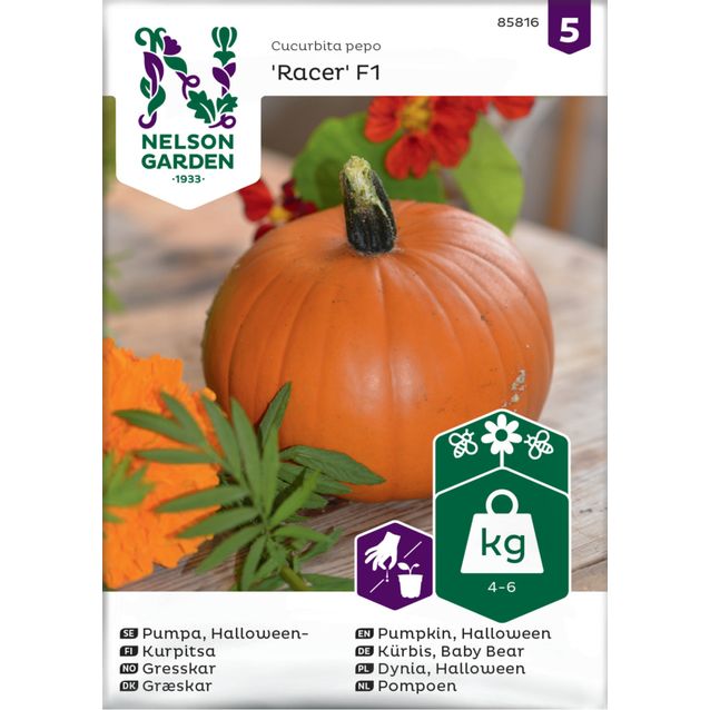 Kurpitsa siemen Nelson Garden Racer F1