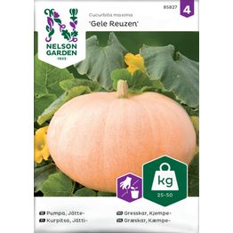 Jättikurpitsa Nelson Garden Gele Reuzen, siemenet