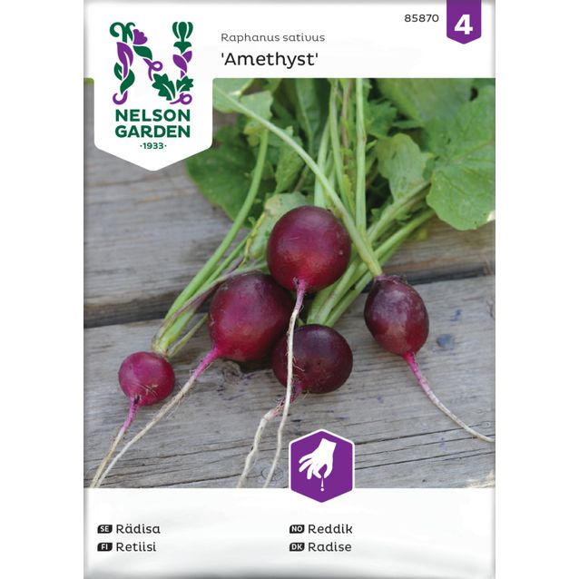 Retiisi siemen Nelson Garden Amethyst