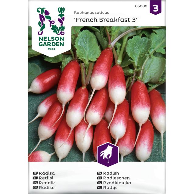 Retiisi siemen Nelson Garden French Breakfast 3