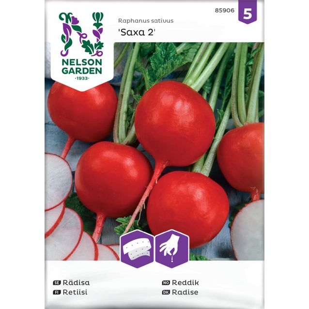 Retiisi siemen Nelson Garden Saxa 2, kylvönauha
