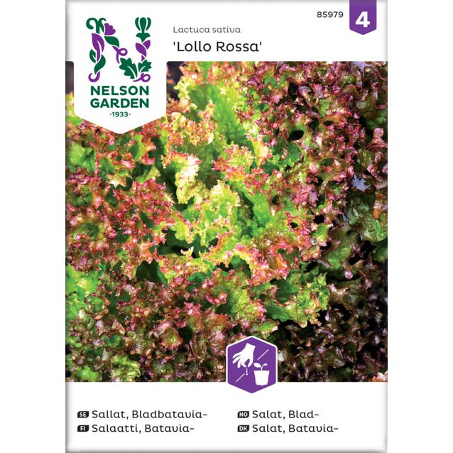 Bataviasalaatti siemen Nelson Garden Lollo Rossa