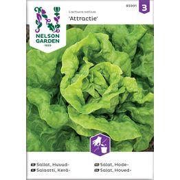 Keräsalaatti Nelson Garden Attractie, siemenet