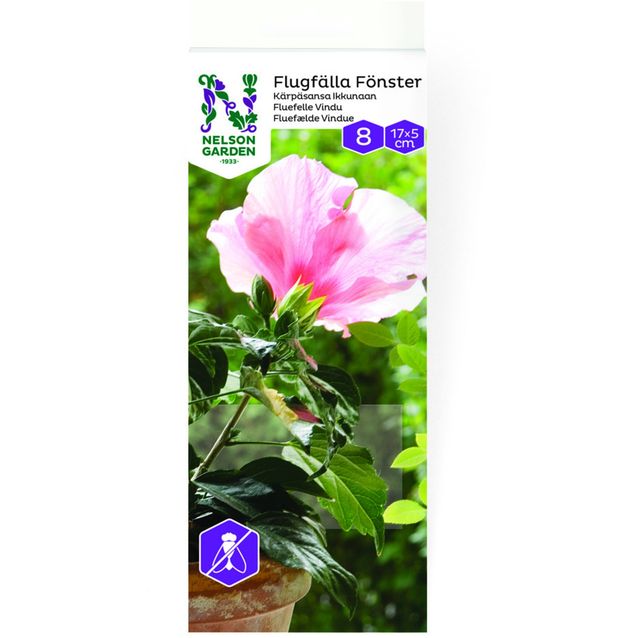 Kärpäsansa ikkunaan Nelson Garden, 8kpl