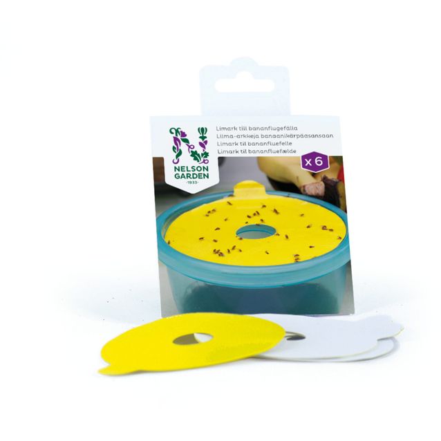 Liima-arkki banaanikärpäsansalle Nelson Garden, 6kpl