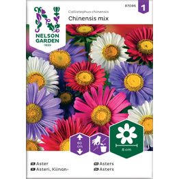 Kiinanasteri Nelson Garden Chinensis, väriseos, siemenet