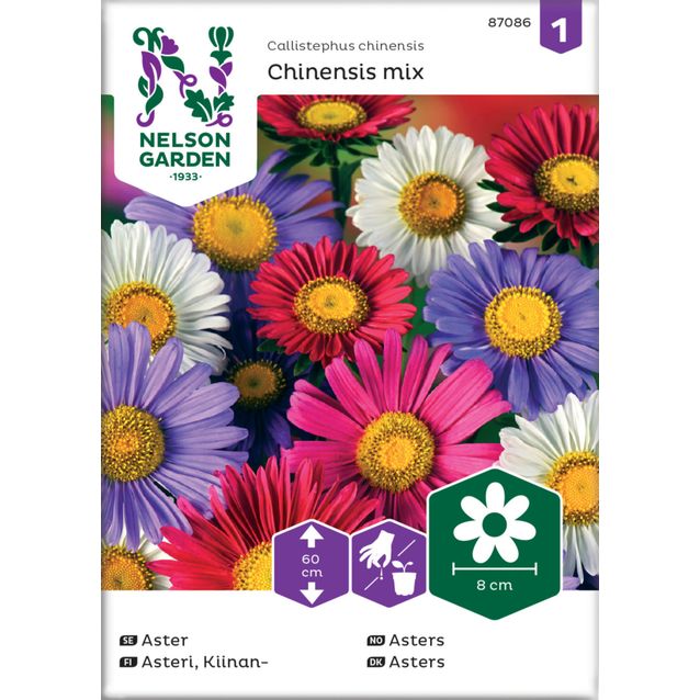 Kiinanasteri siemen Nelson Garden Chinensis, väriseos