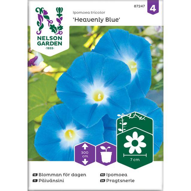 Päivänsini siemen Nelson Garden Heavenly Blue
