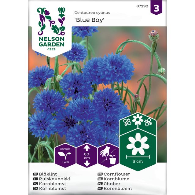 Ruiskaunokki siemen Nelson Garden Blue Boy