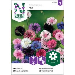 Ruiskaunokki Nelson Garden, väriseos, siemenet