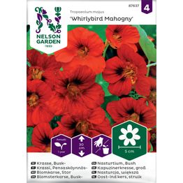 Pensasköynnöskrassi Nelson Garden Whirlybird Mahogany, siemenet