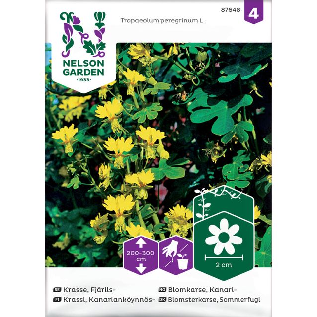 Kanarianköynnöskrassi  siemen Nelson Garden