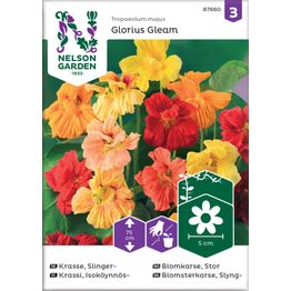 Isoköynnöskrassi Nelson Garden Glorious Gleam, siemenet