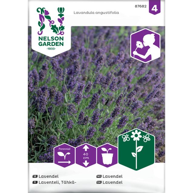 Tähkälaventeli siemen Nelson Garden