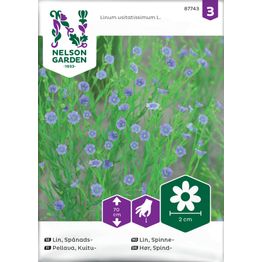 Kuitupellava Nelson Garden, siemenet