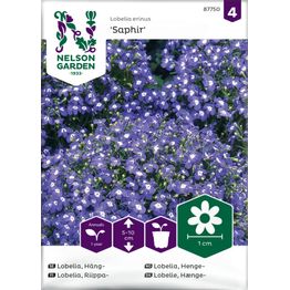 Riippalobelia Nelson Garden Saphir, siemenet