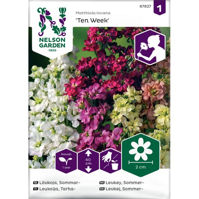 Tarhaleukoija siemen Nelson Garden Ten Week
